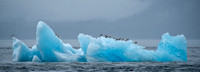 Iceberg n Stephens Passage