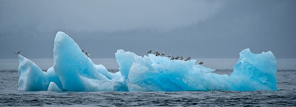 Iceberg n Stephens Passage