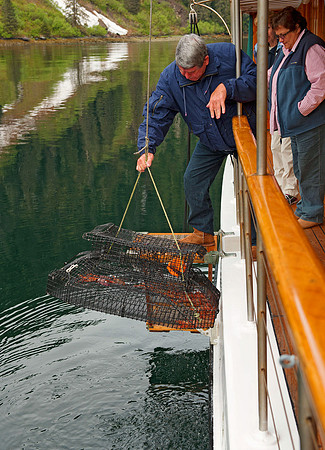 Fishing for shrimps,