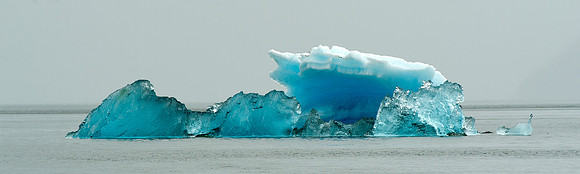 Iceberg in Endecott Arm