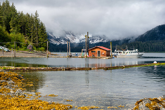 View over Pybus Point inlet, Admiralty Island