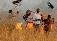Fire Beaters at the bushfire