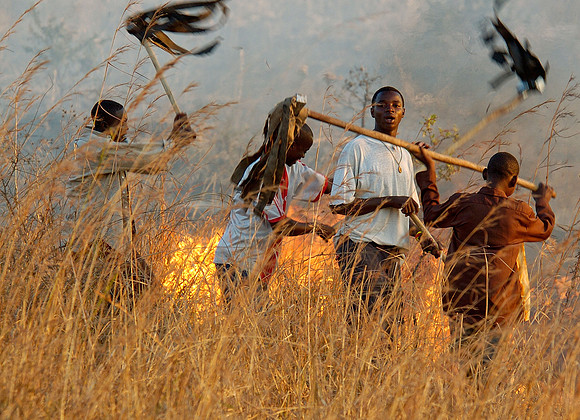 Fire Beaters at the bushfire
