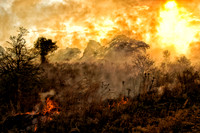 Bush fire in Mikumi National Park