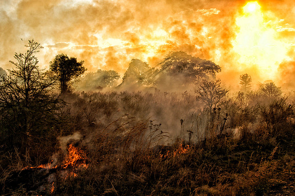 Bush fire in Mikumi National Park