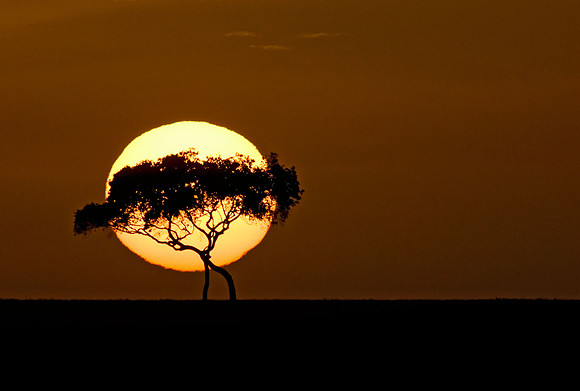 Sunrise in the Masai Mara