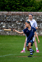 Hoe Bridge IAPS Rounders. 20.6.19.0420