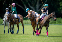 West Hants Polo Pony Club 0494