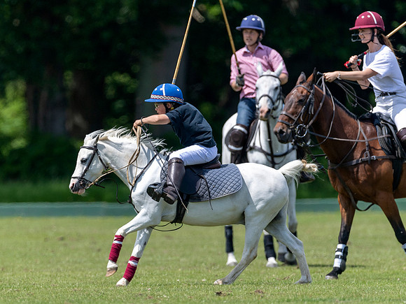 West Hants Polo Pony Club 0273