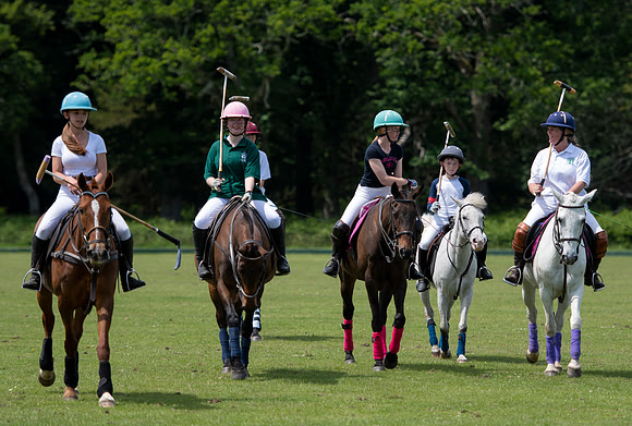 West Hants Polo Pony Club 1592