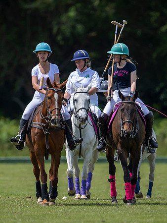 West Hants Polo Pony Club 0635