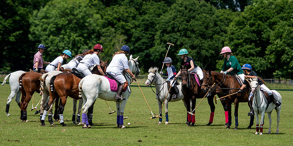 West Hants Polo Pony Club 1586
