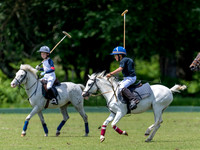 West Hants Polo Pony Club 0275