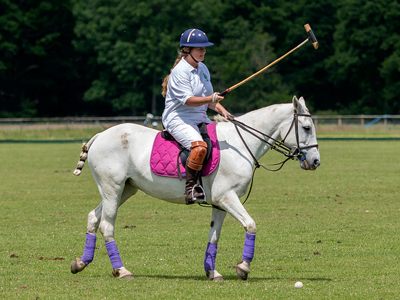 West Hants Polo Pony Club 1534