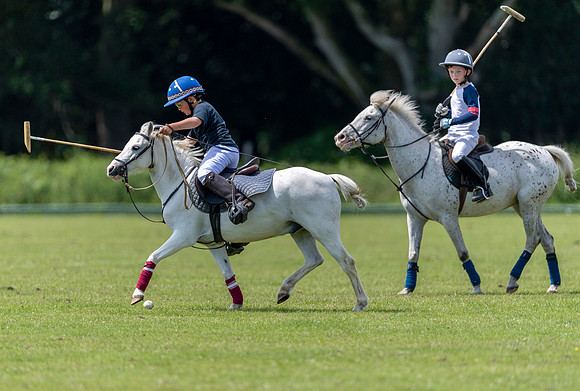 West Hants Polo Pony Club 0488