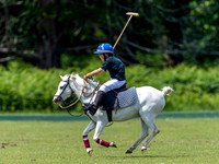 West Hants Polo Pony Club 0286