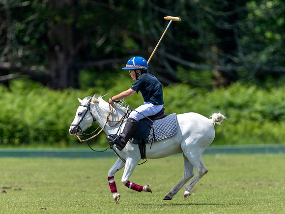 West Hants Polo Pony Club 0286