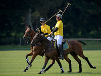 Rhinefield Cup.2367