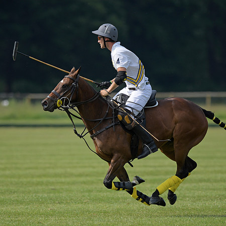 Rhinefield Cup.2672