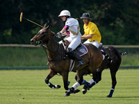Rhinefield Cup.2003