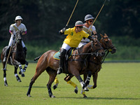 Rhinefield Cup.2164