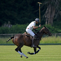 Rhinefield Cup.2401