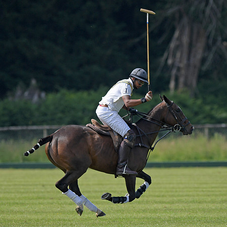 Rhinefield Cup.2401