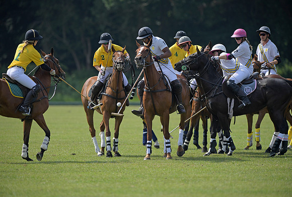 Rhinefield Cup.2248