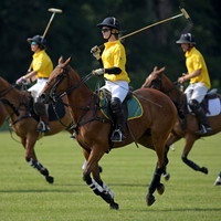 Rhinefield Cup.2222