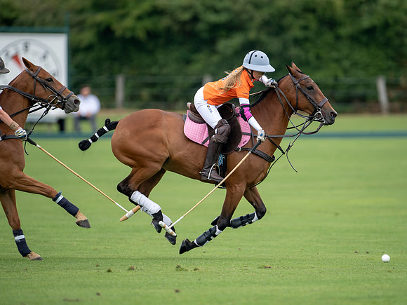 HPA.Hipwood.9.8.18.0863