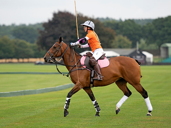 HPA.Hipwood.9.8.18.0082