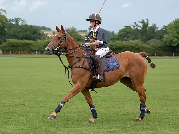 HPA.Hipwood.9.8.18.0913