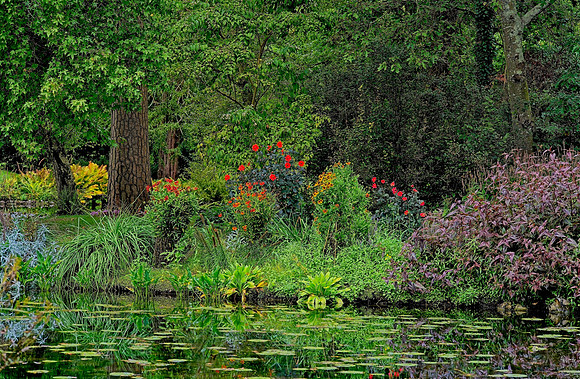 20230912 Water Gardens Longstock.0133 1