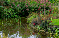Water Garden Longstock 0176