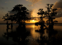 sunset-cypress-lake-Florida-0001