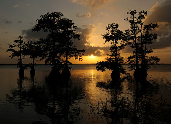 sunset-cypress-lake-Florida-0001