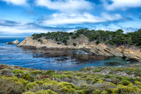 Pescadero Point