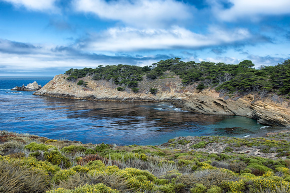 Pescadero Point