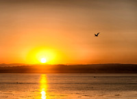 Sunrise over Monterey Bay