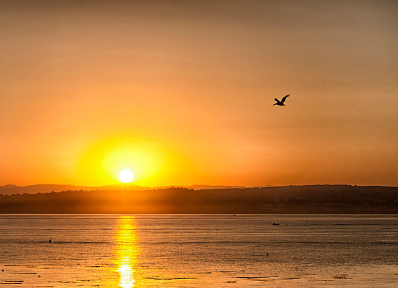Sunrise over Monterey Bay