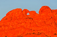 Kissing Camels