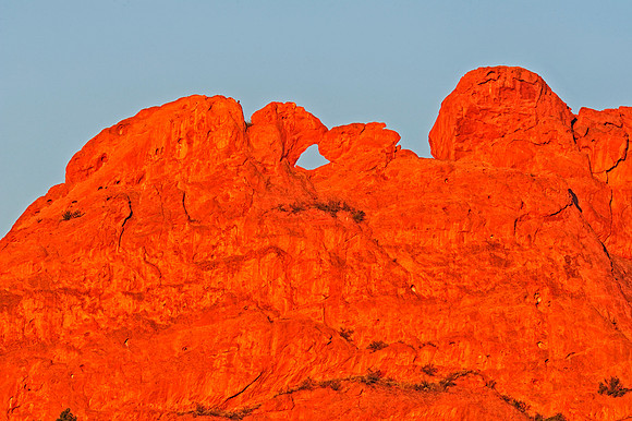 Kissing Camels