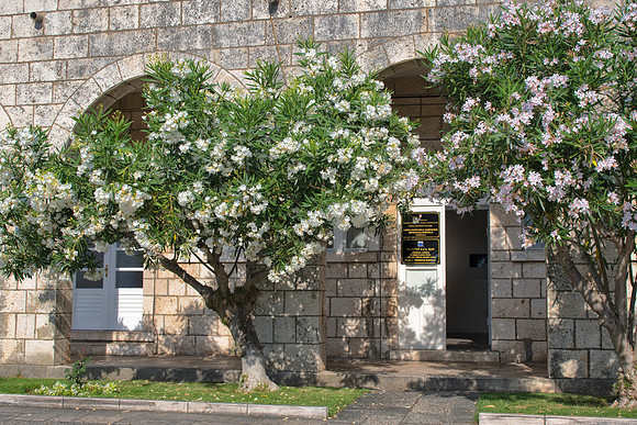 Korcula old town