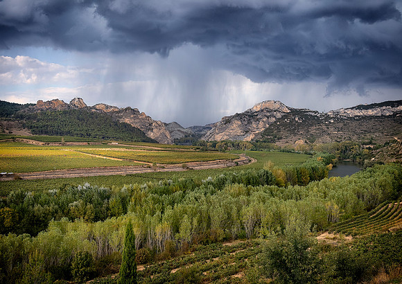 Spain.Rioja.474