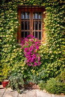 Spain.Rioja.078