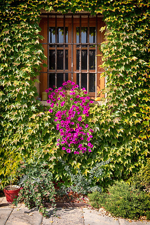 Spain.Rioja.078