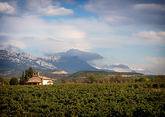 Spain.Rioja.406