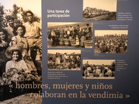 Spain.Rioja.227