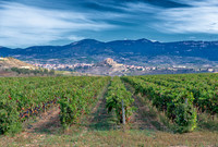 Spain.Rioja.321