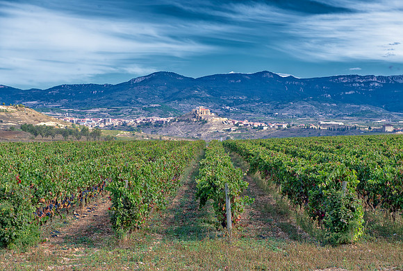 Spain.Rioja.321